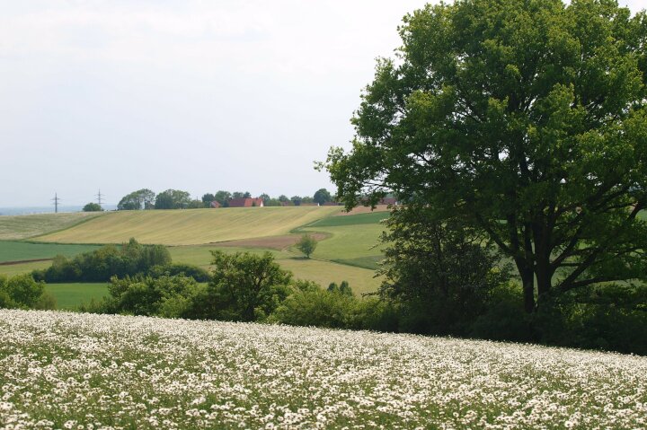 Landschaft in Freising