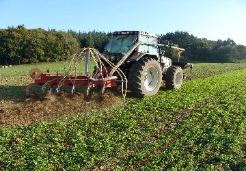 Traktor macht flachen Stoppelumbruch